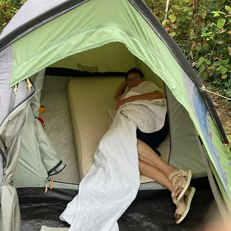 Filskov 아파트 그린드스테드